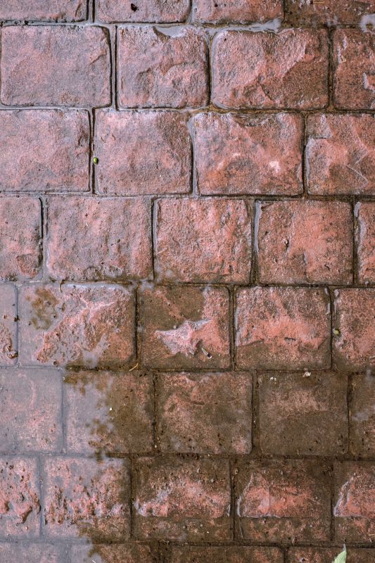 Decorative Concrete Repair in Everett, WA
